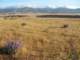 imgp3243_small.jpg