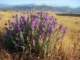 imgp3247_small.jpg
