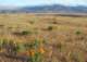 imgp3248_small.jpg