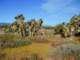 imgp3250_small.jpg
