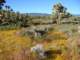 imgp3251_small.jpg