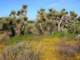 imgp3252_small.jpg