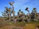 imgp3254_small.jpg