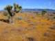 imgp3256_small.jpg