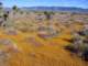 imgp3257_small.jpg