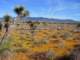 imgp3258_small.jpg