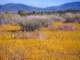 imgp3260_small.jpg