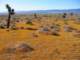 imgp3261_small.jpg