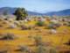 imgp3262_small.jpg