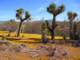 imgp3264_small.jpg
