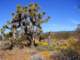 imgp3267_small.jpg