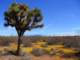 imgp3268_small.jpg
