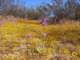 imgp3269_small.jpg