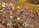imgp3270_small.jpg