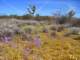 imgp3272_small.jpg