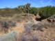 imgp3273_small.jpg