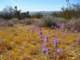 imgp3276_small.jpg