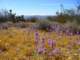imgp3277_small.jpg
