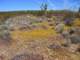 imgp3279_small.jpg