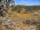 imgp3280_small.jpg