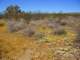 imgp3282_small.jpg