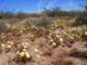 imgp3285_small.jpg