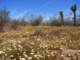 imgp3287_small.jpg