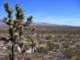 imgp3290_small.jpg