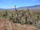 imgp3291_small.jpg
