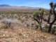 imgp3292_small.jpg