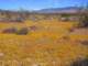 imgp3297_small.jpg