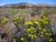 imgp3302_small.jpg