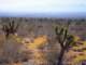 imgp3305_small.jpg