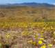 imgp3308_small.jpg