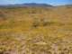 imgp3309_small.jpg