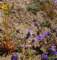 imgp3311_small.jpg