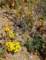 imgp3313_small.jpg