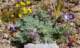imgp3316_small.jpg