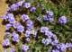 imgp3317_small.jpg