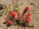 imgp3318_small.jpg