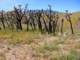 imgp3319_small.jpg