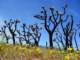 imgp3320_small.jpg
