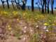 imgp3321_small.jpg