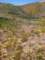 imgp3323_small.jpg