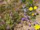 imgp3324_small.jpg