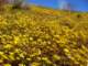 imgp3326_small.jpg