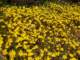 imgp3328_small.jpg