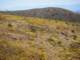 imgp3329_small.jpg