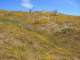 imgp3333_small.jpg
