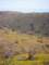 imgp3336_small.jpg